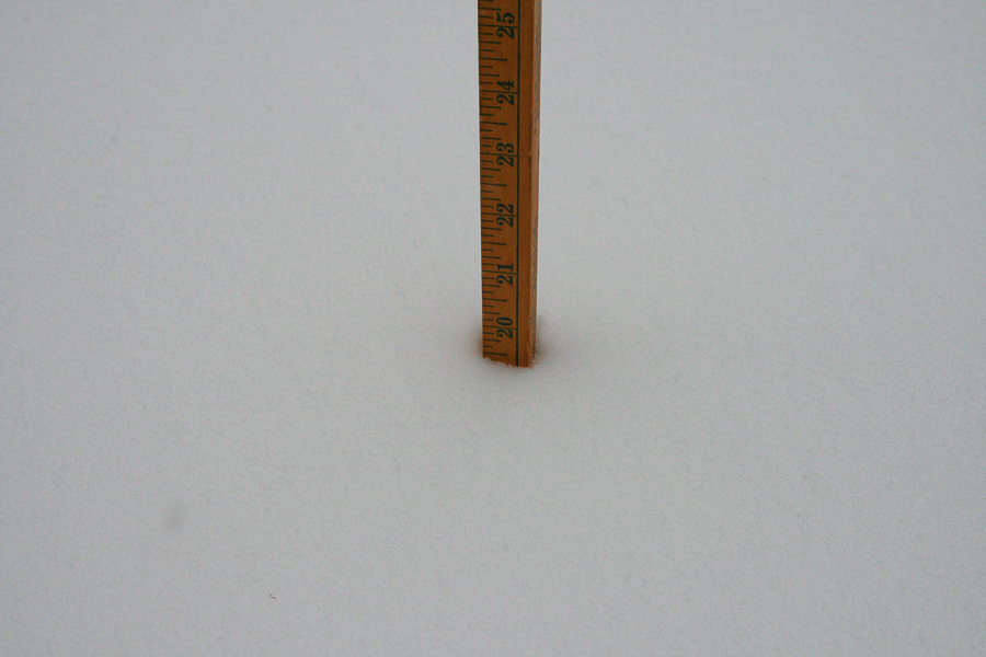 Snowstorm 2009 