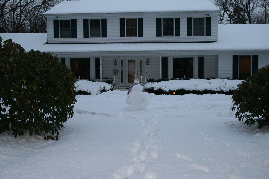 snowman stands guard