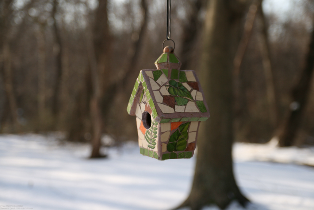 Birdhouse waiting for spring  ~~  