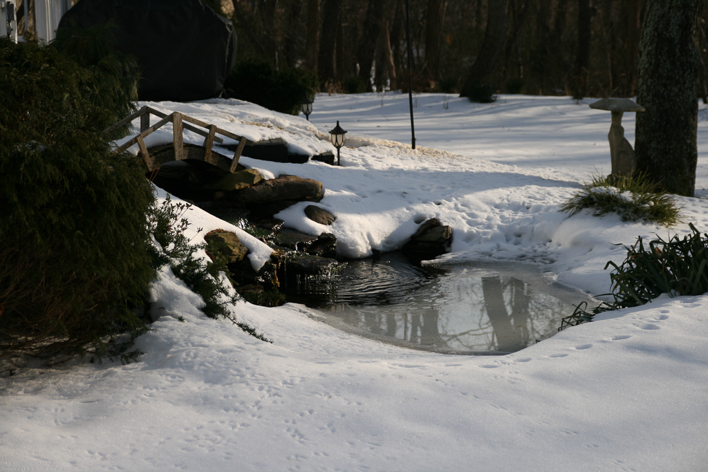The Koi Pond deep in snow  ~~  