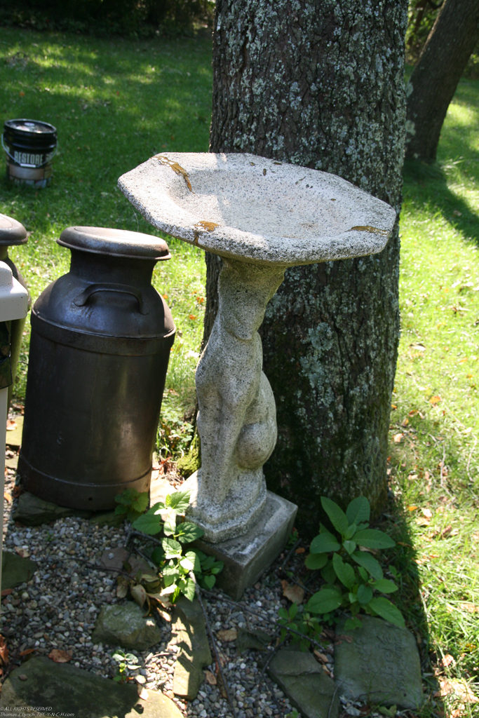 from my parents house.  ~~  my mom had this birdbath in her rose garden since the early 1960s!