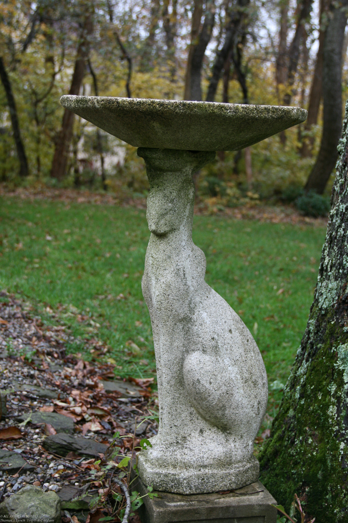 Mom's Cat Bird Bath from our Huntingdon Valley house circa 1960  ~~  