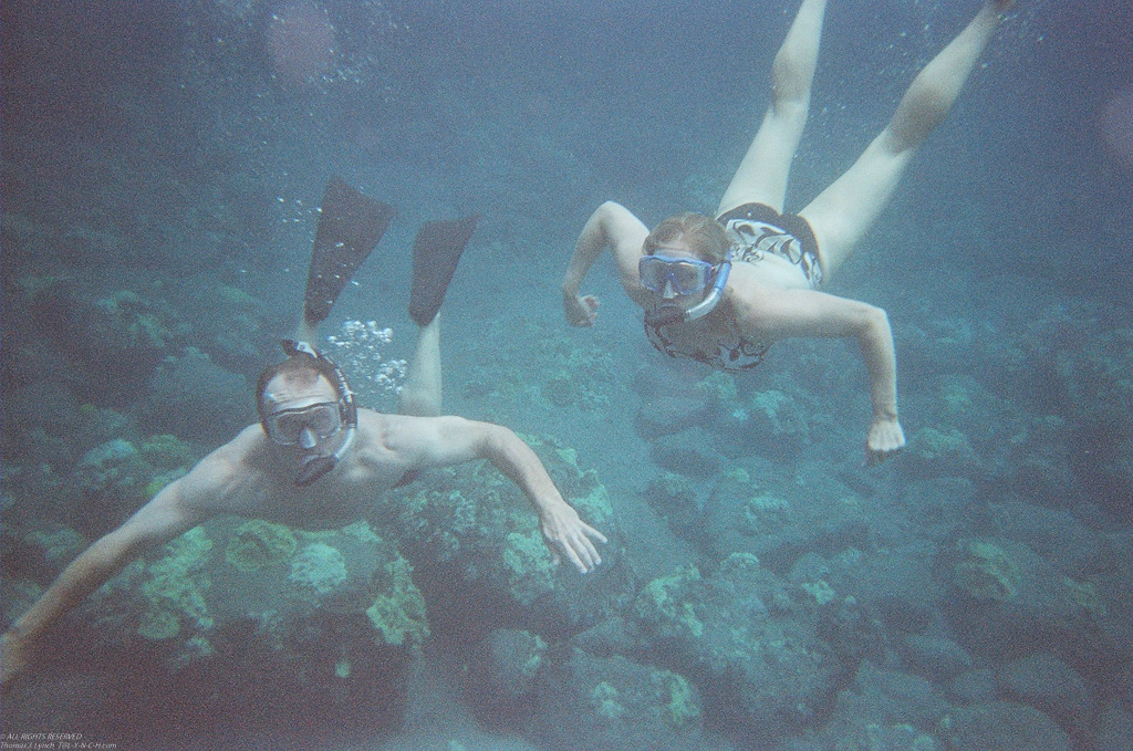 under water in Lanai  ~~  film camara, not bad?
