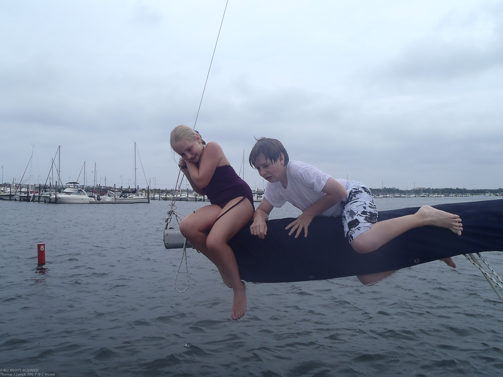 Boom Diving in the harbor  ~~  
