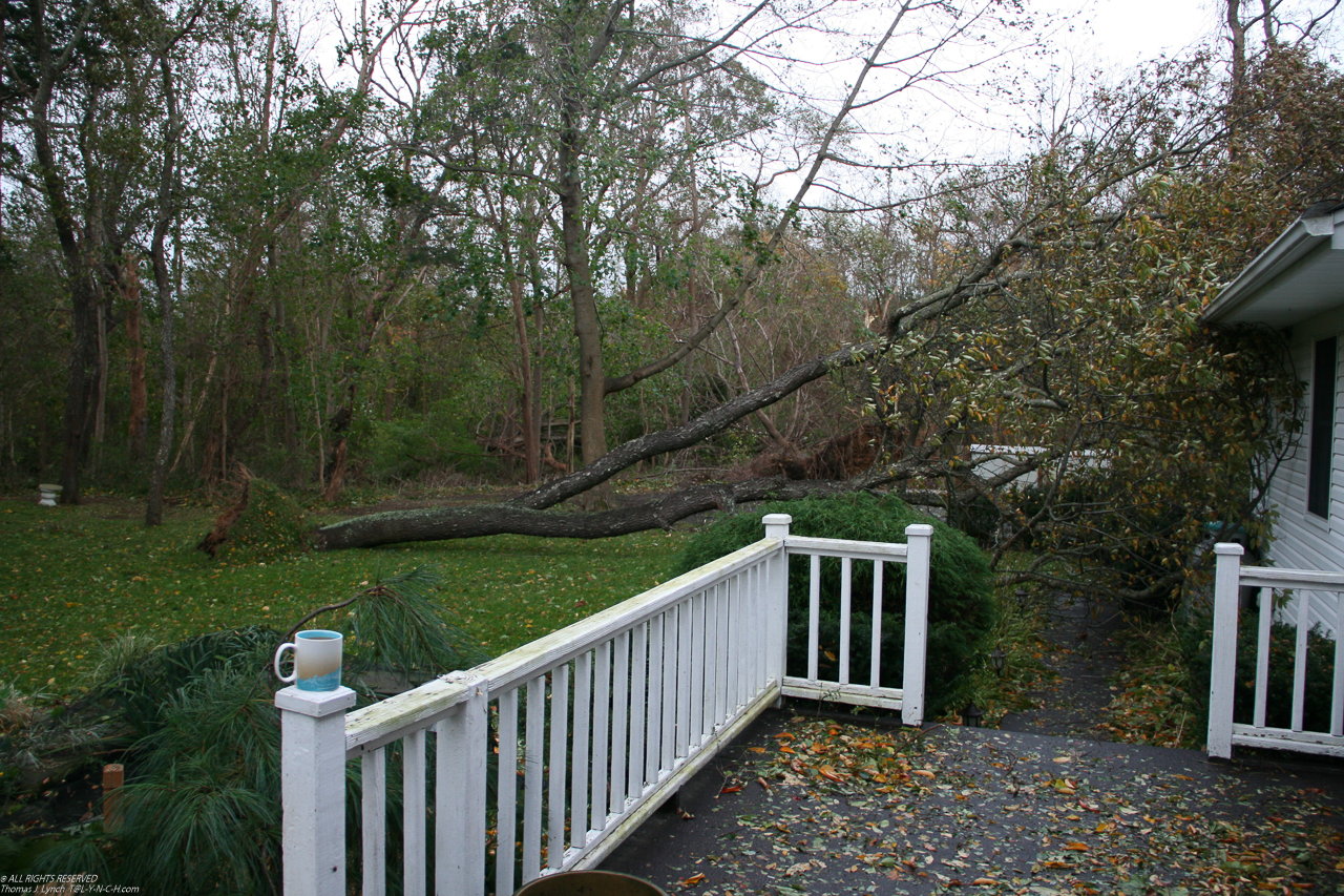 Hurricane Sandy come to town Nov 2012  ~~  Tree #4: this one taged the house, gutter, and crushed some lights and siding, and blocked the garage doors.