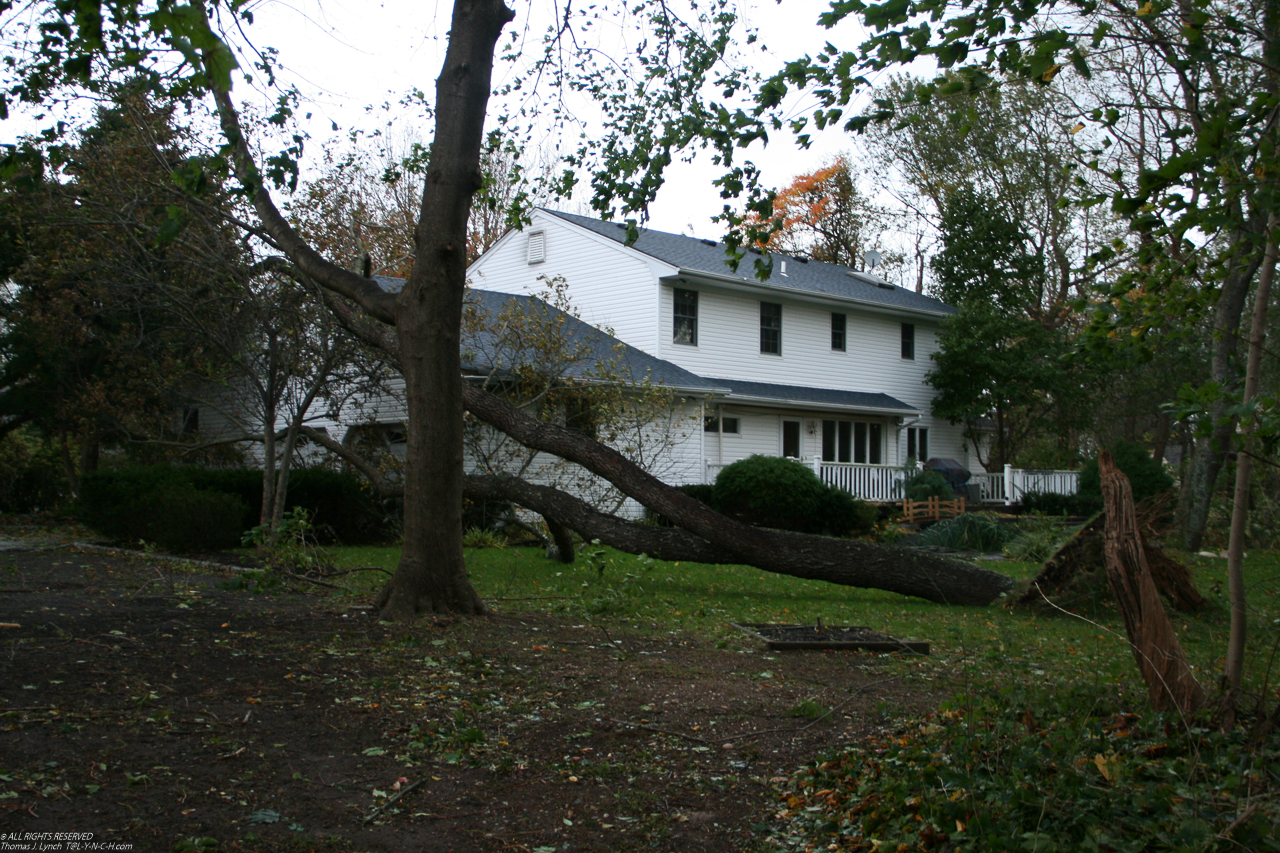 Hurricane Sandy come to town Nov 2012  ~~  another view of tree down on the house.