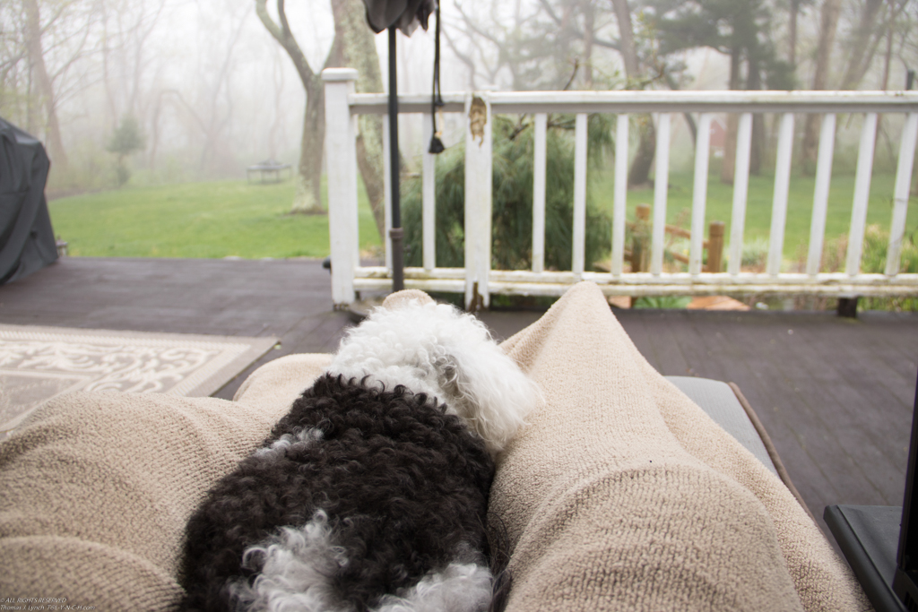 A little fog rolled in.  ~~  we will just stay here a little longer.