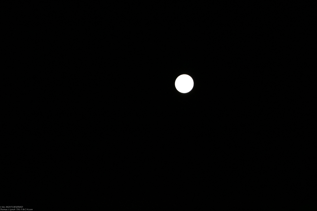 SUPERMOON.  the biggest in 68 years!!!  ~~  It was bright but this did not do it justice