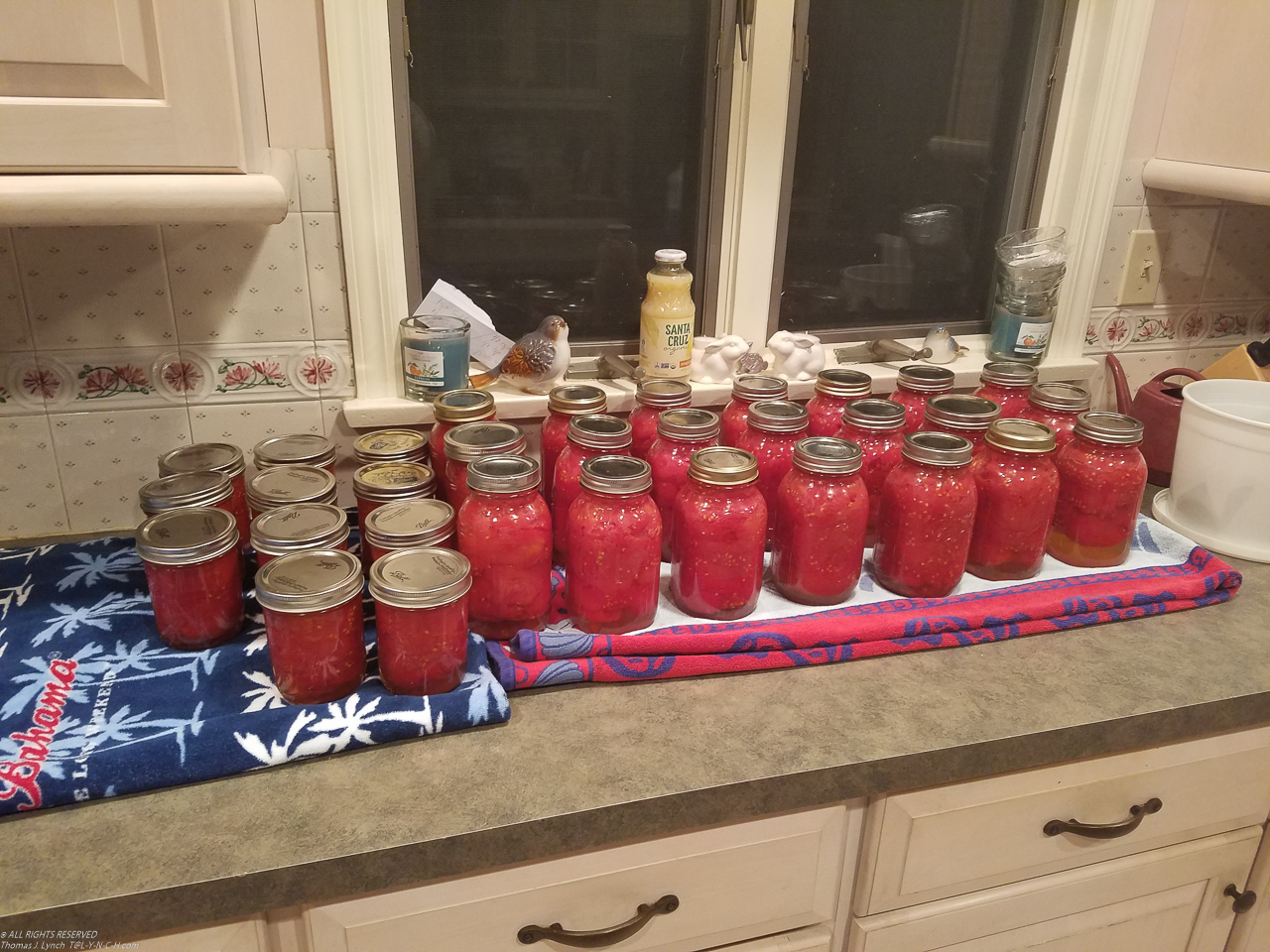 Gret canning 100 plus pounds of tomatoes  ~~  this was just one batch