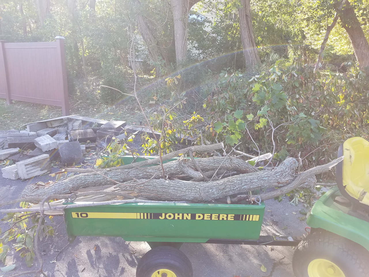 a few trees down now that they are esposed to wind on the East side.  ~~  johnny on the clean up