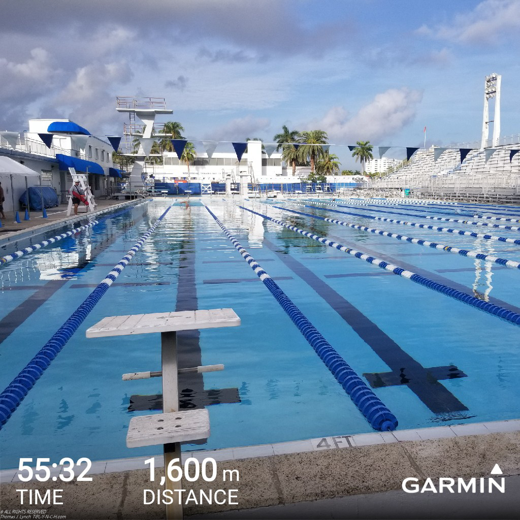 Swimming in Ft Lauderdale Nov 2018  ~~  