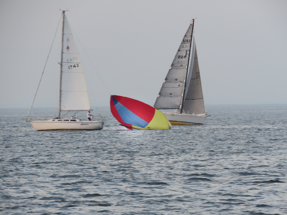 Akula Double Handed unrestricted  ~~  dropping it by the halyard - or spinaker shrimping on the long island sound
