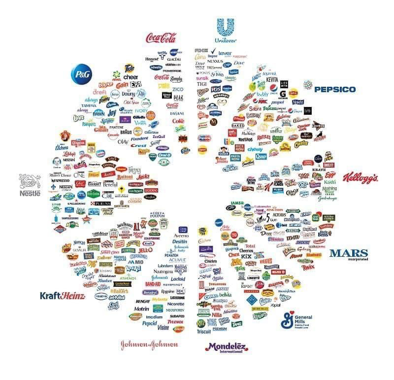 10 companies control all the food 2023  ~~  