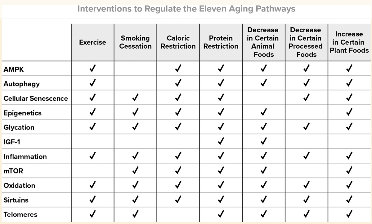 Dr Greger Pooled Meta Analysis 2024  - Eleven Aging Pathways and Best Remedy  ~~  