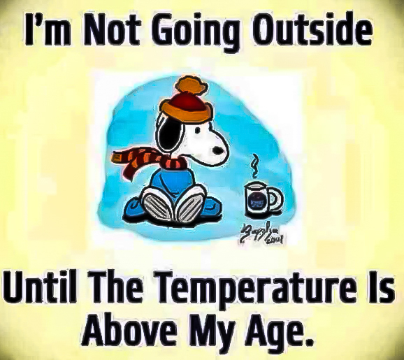 Not going out until the temperature is above my age -Snoopy Jan 2024.jpg  ~~  