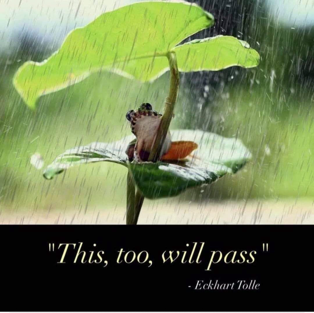 This too shall pass  ~~  