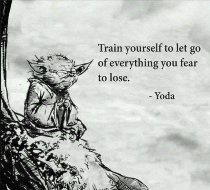 Train yourself to let go of everything you fear to lose yoda  ~~  