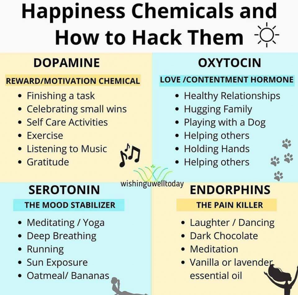 Happiness Chemicals  ~~  