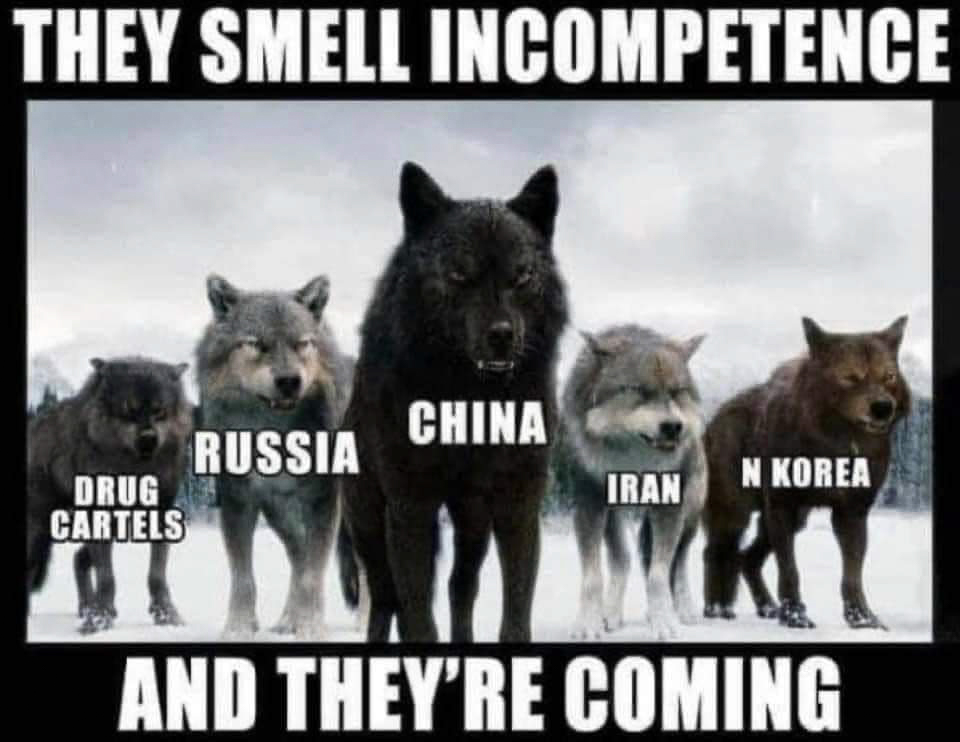 They Smell incompetence  ~~  