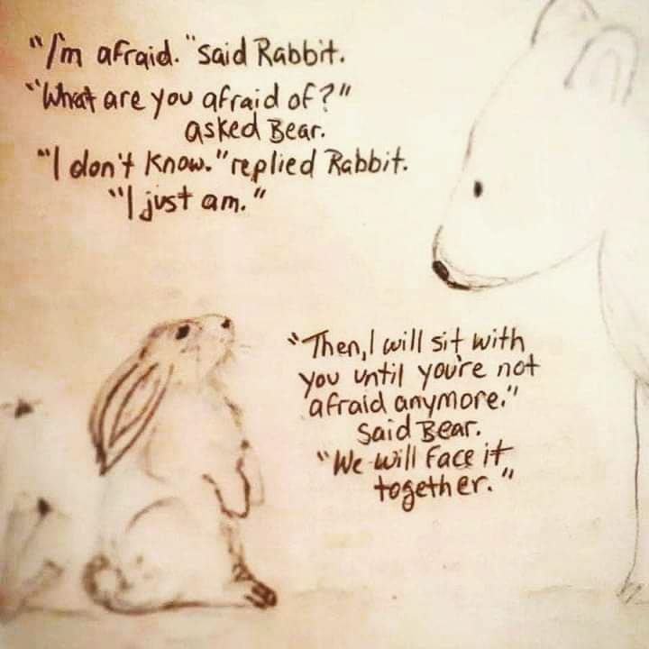 Afraid rabbit we wil  face it together.jpg  ~~  