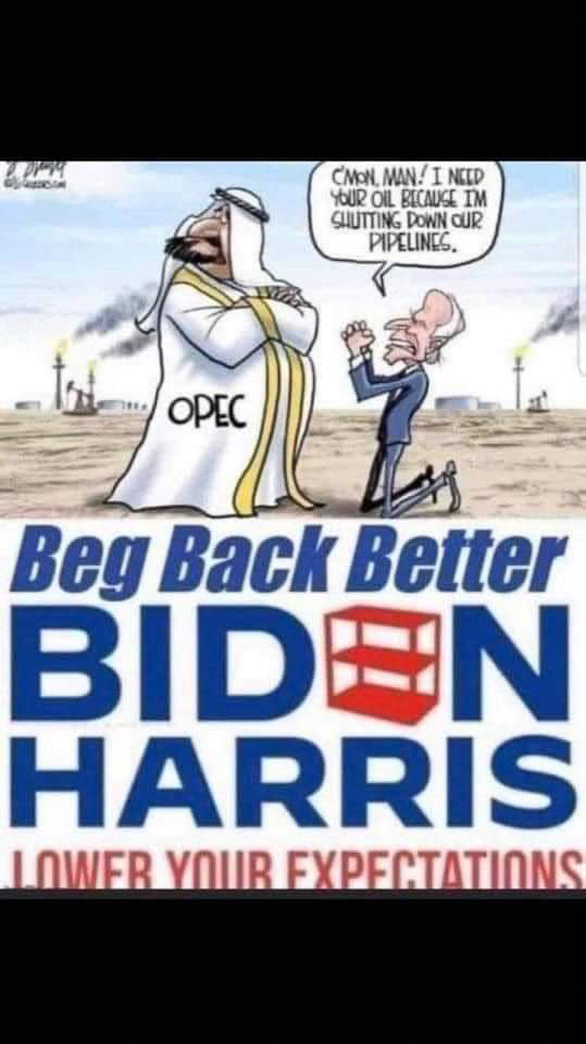 Beg Back Better Biden and Harris  ~~  