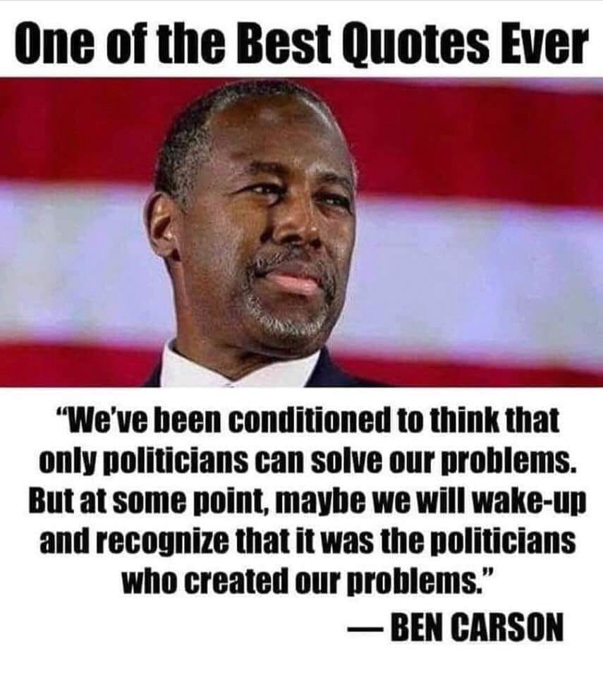 Ben Carson its the politicians that CREATED our problems  ~~  