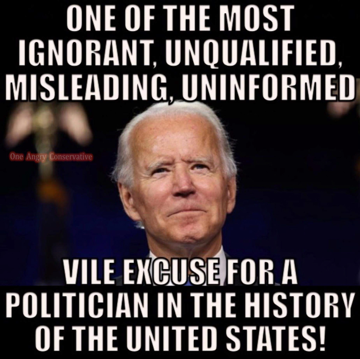 Igrnorant unqualified misleading uninformed politicians Biden the disaster  ~~  