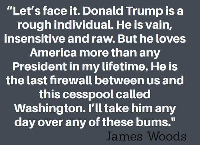 James Woods Trump is raw and vain but great for America  ~~  