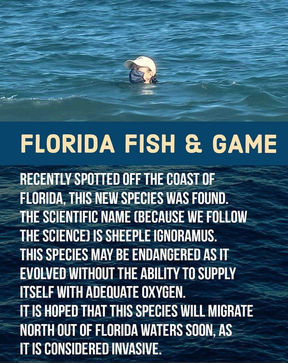 Liberal Fish - Florida Fish and Game spotted  ~~  