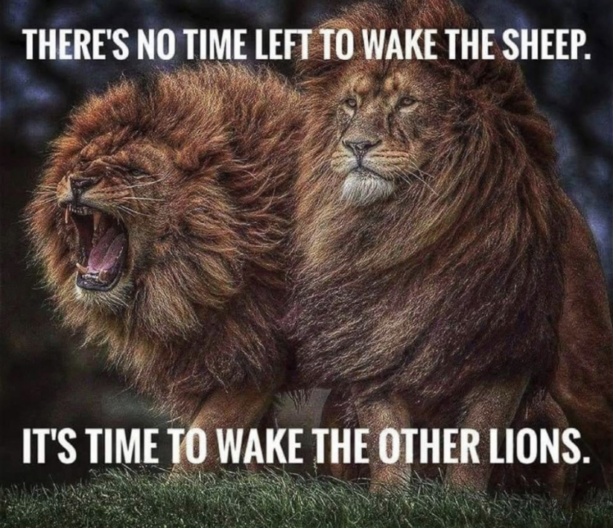 No time to wake the Sheep its time to wake the other Lions  ~~  