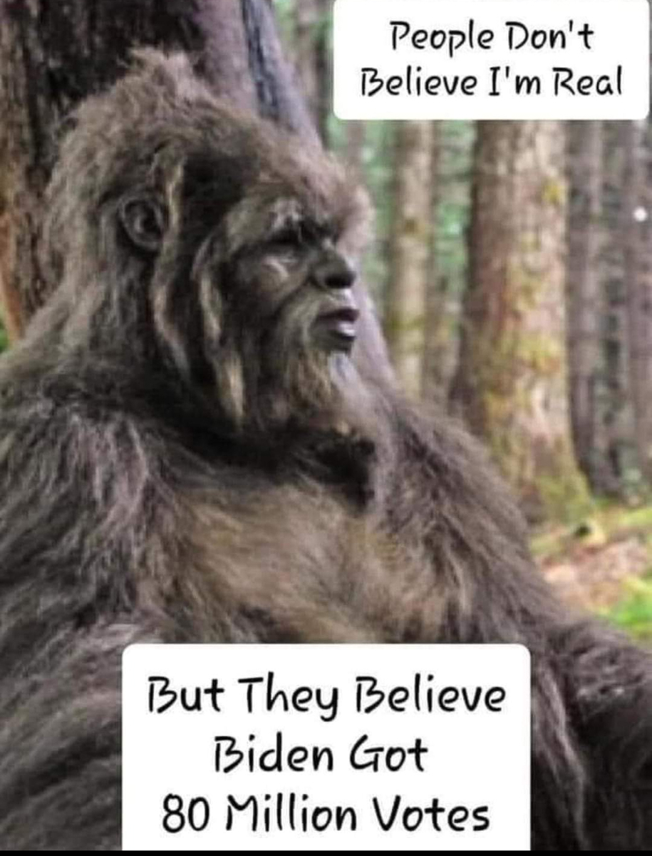 People Dont beleive I am real - BIGFOOT - but they beleive Biden got 80 million votes  ~~  