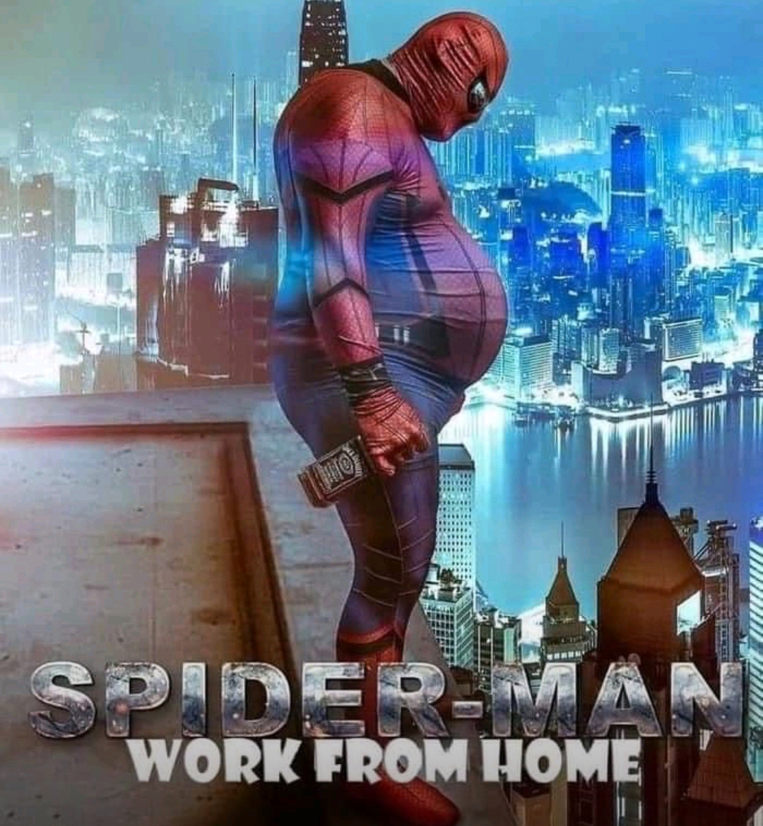Spiderman Working from Home  ~~  
