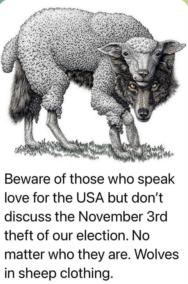 Theft of our election by the wolves  ~~  