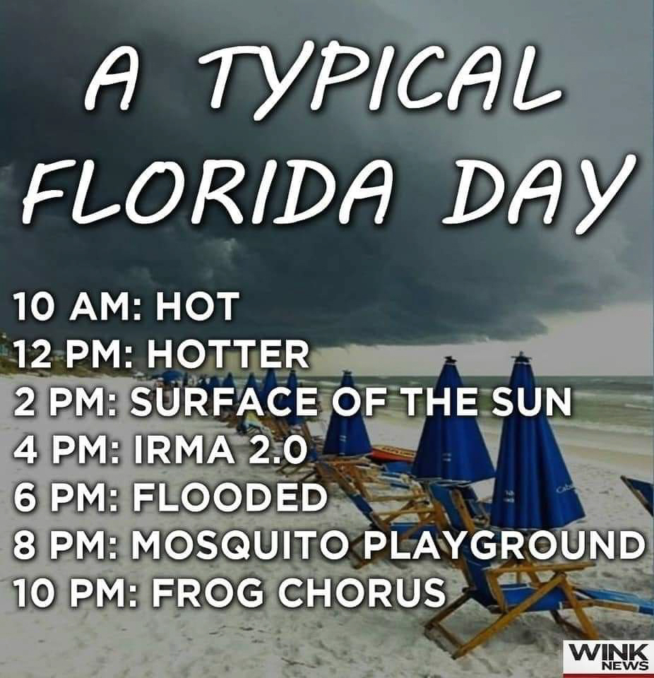 Typical weather in Florida  ~~  