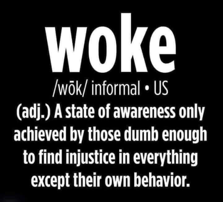 Woke definition  ~~  