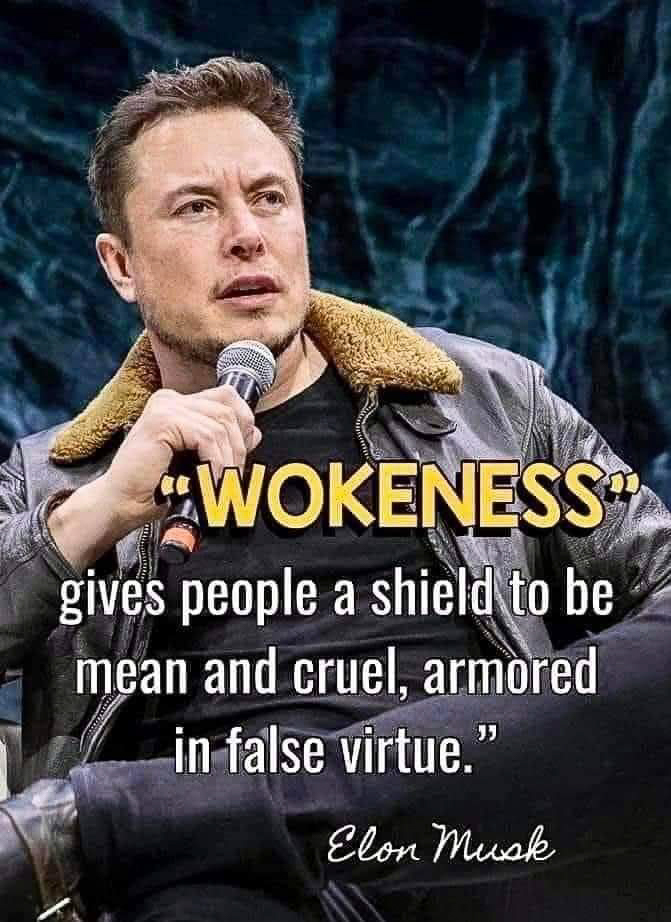 Wokeness by Elon Musk  ~~  