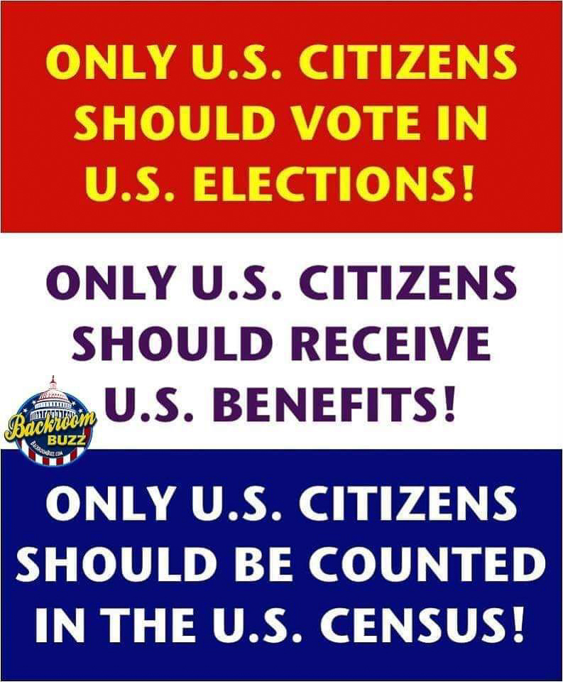 only us citizens should vote get benefits counted in census.jpg  ~~  