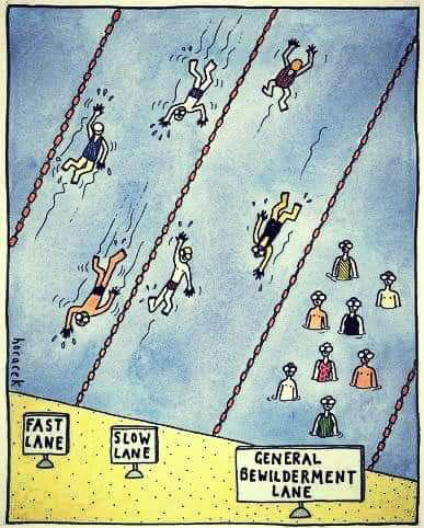 swimming lanes explained  ~~  