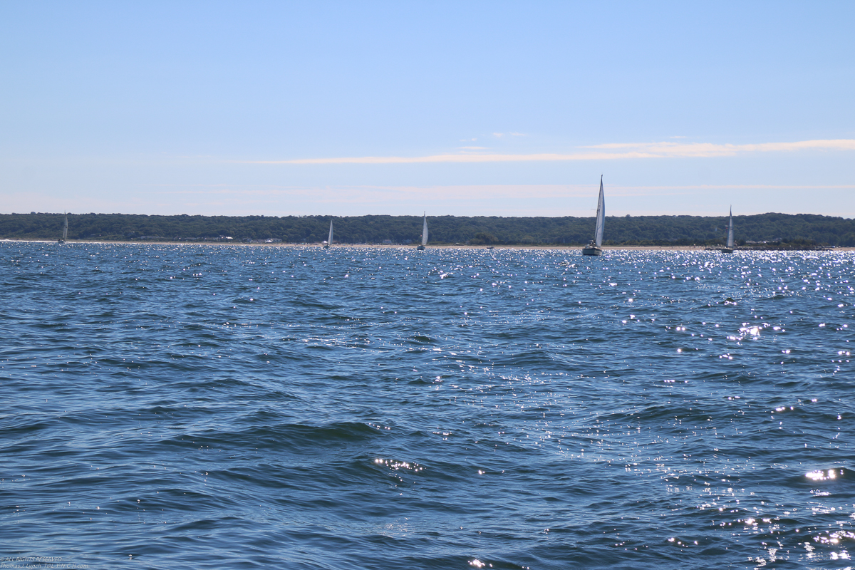 MSSA 2020 Fall Series #1 Jackrabbit Race  ~~  Not much wind took about 4 hours for 7 miles of sailing.